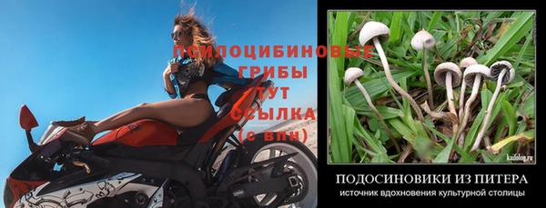 винт Балахна